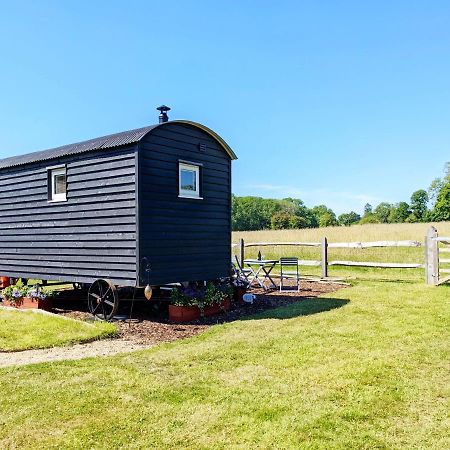 Crabden Shepherd Hut - Blendworth Villa Waterlooville Ngoại thất bức ảnh