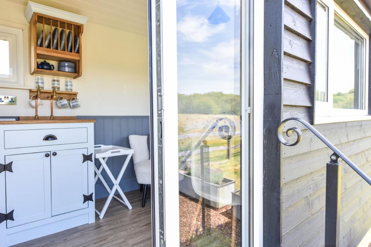 Crabden Shepherd Hut - Blendworth Villa Waterlooville Ngoại thất bức ảnh