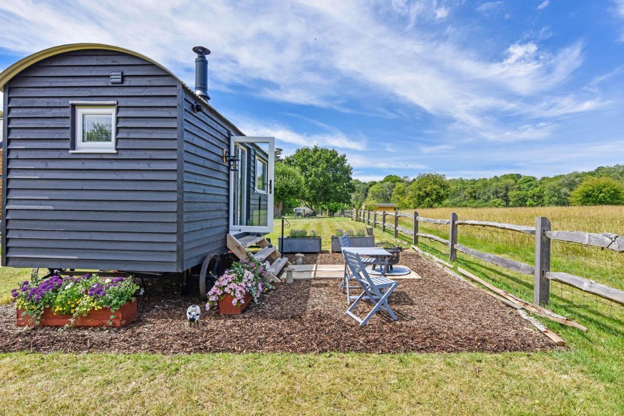 Crabden Shepherd Hut - Blendworth Villa Waterlooville Ngoại thất bức ảnh