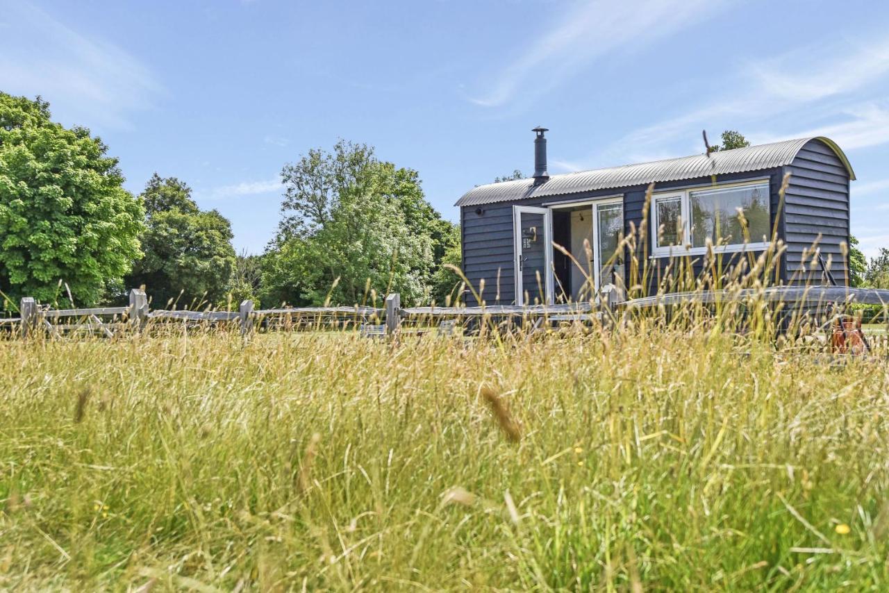 Crabden Shepherd Hut - Blendworth Villa Waterlooville Ngoại thất bức ảnh