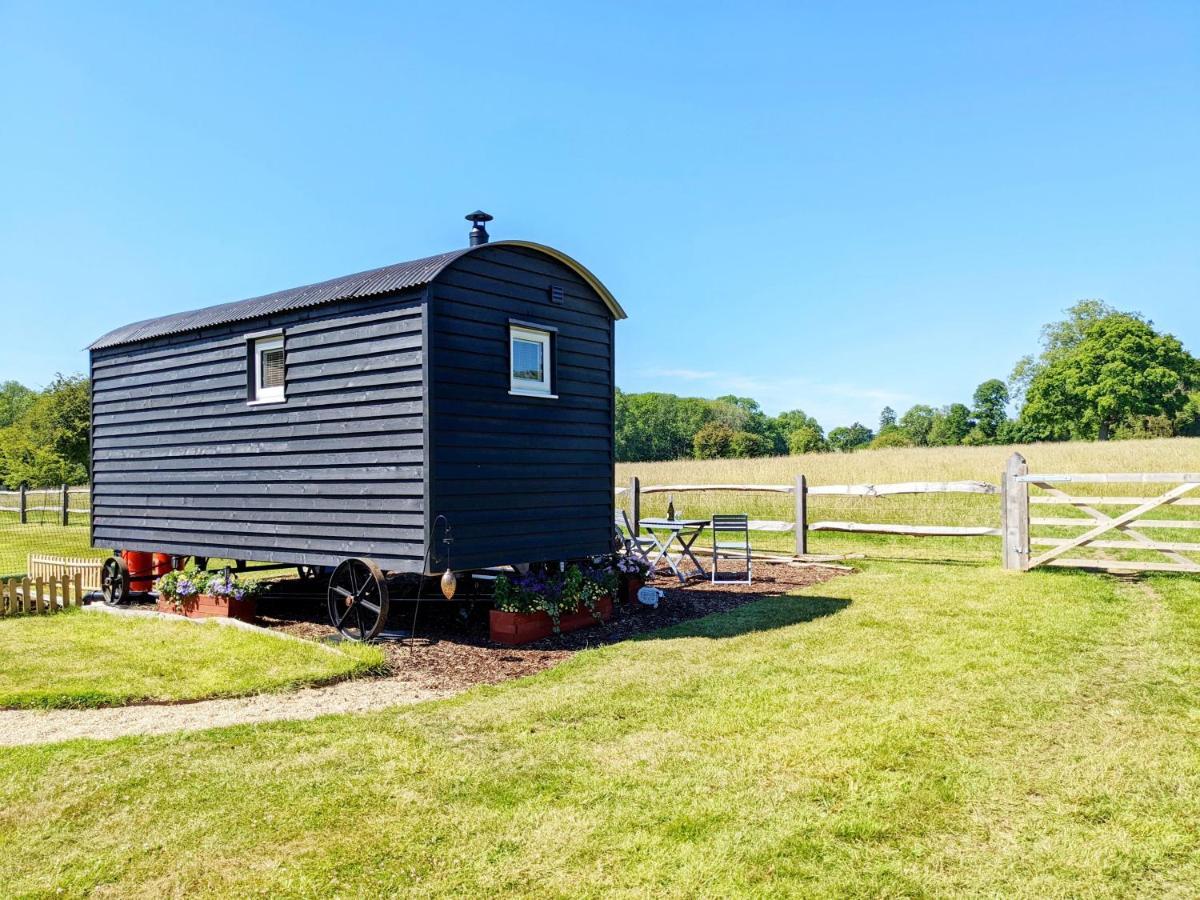 Crabden Shepherd Hut - Blendworth Villa Waterlooville Ngoại thất bức ảnh
